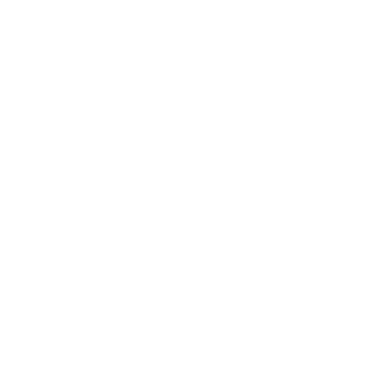 Zoe Media Logo